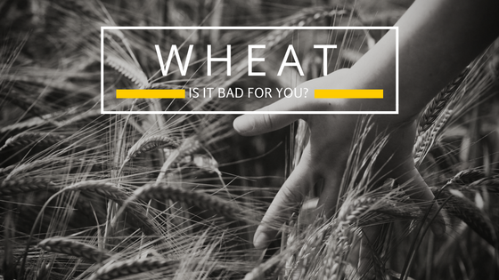 Why did I make Gluten Free a life style choice?