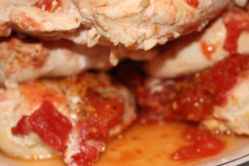 salsa shredded chicken time to shred