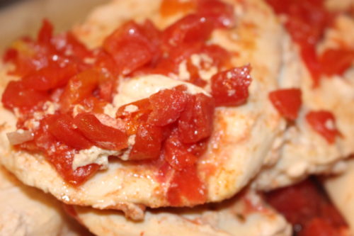 salsa shredded chicken